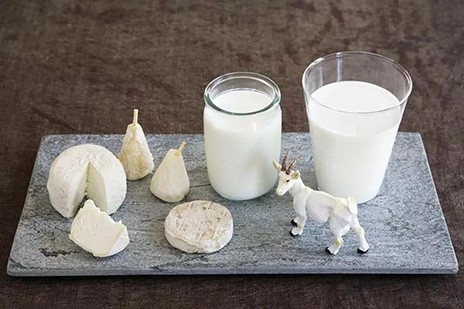 2022年世界牛奶日·全國(guó)乳品營(yíng)養(yǎng)周專稿——科普羊奶營(yíng)養(yǎng)，推進(jìn)全民健康